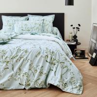 Parure de lit 200x200 cm 50x70 cm percale 100% coton ELÉNA vert Nil 3 pièces