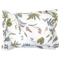 Taie d'oreiller 50x70 cm percale 100% coton FÉÉRIE Blanc sauge