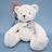 Doudou ours 25 cm polyester collection L'OURS DOUDOU blanc