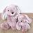 Peluche 25 cm en 100% polyester collection SWEETY MOUSSE lapin rose